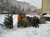 S vánočními stromky pomáhali malí i ti větší. (Foto archiv SKaKS Dakota)