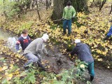 Tomíci Tuři z Olomouce čistili břehy a koryto potoka Romza v povodí Moravy