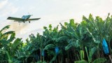 Používání pesticidů a dalších jedů na banánových plantážích působí lidem zdravotní potíže (www.storyofbanana.com/cs)
